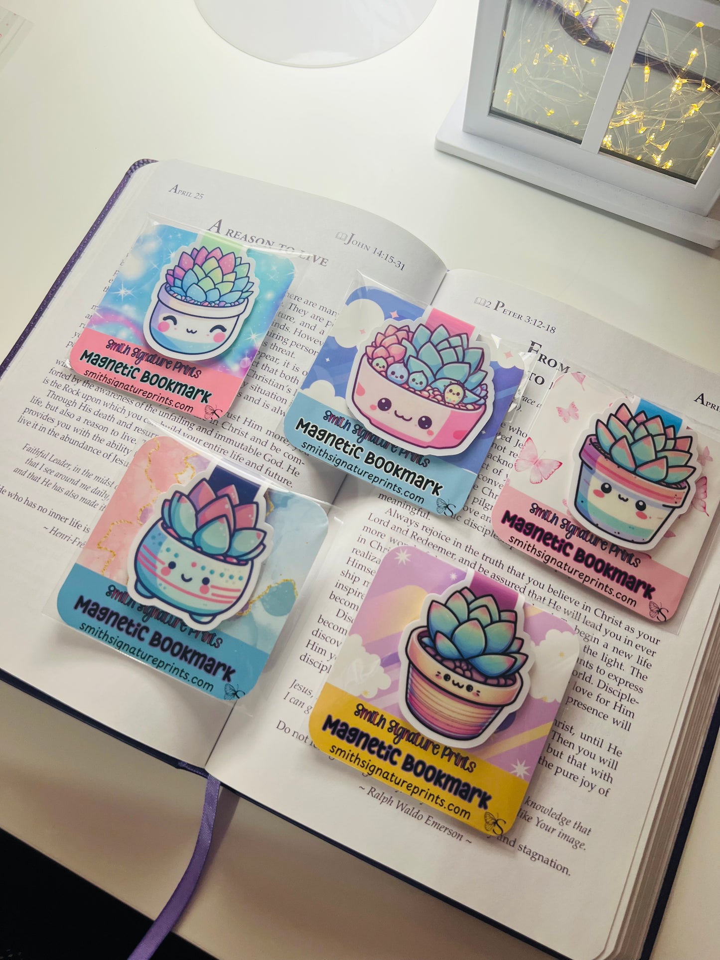 Succulent Pot Magnetic Bookmark Set
