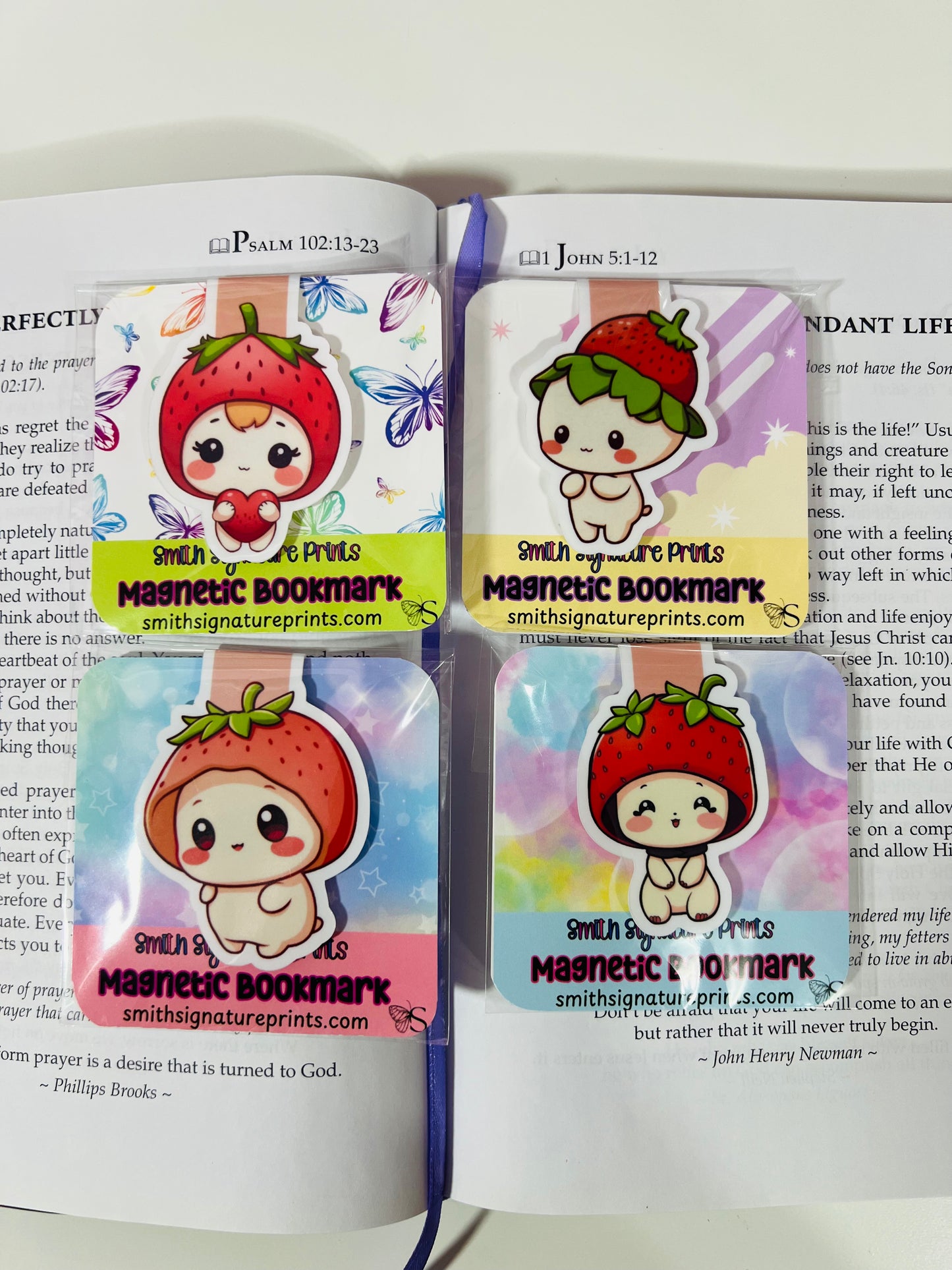 Strawberry Whimsy Magnetic Bookmark set